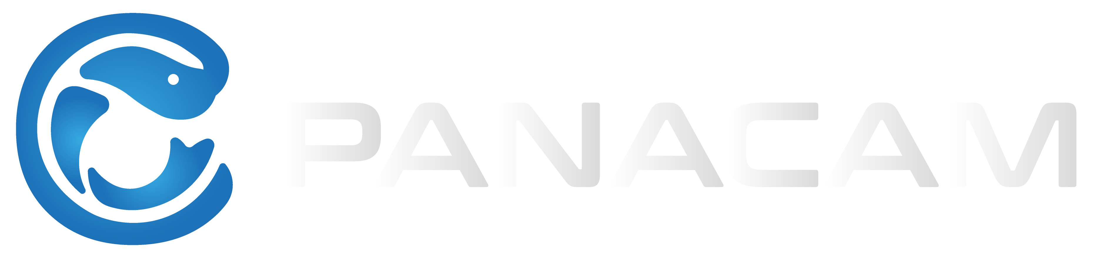 Panacam LLC